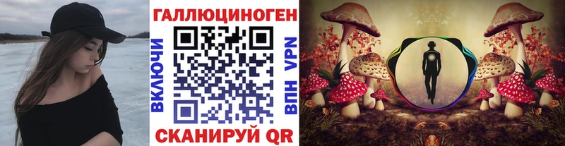 Купить где  Нариманов  Псилоцибиновые грибы GOLDEN TEACHER 